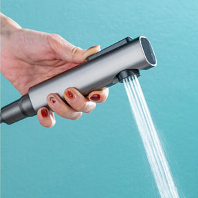 One in Two Out Adjustable Handheld Piano Keys Bidet Sprayer for Toilet